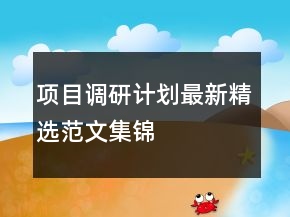 項目調研計劃最新精選范文集錦