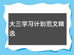 大三學(xué)習(xí)計(jì)劃范文精選