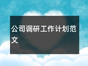 公司調(diào)研工作計(jì)劃范文