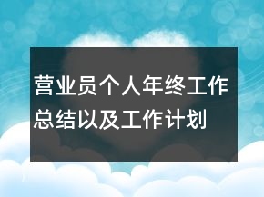 營業(yè)員個人年終工作總結(jié)以及工作計劃范文
