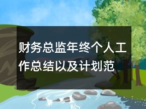 財(cái)務(wù)總監(jiān)年終個人工作總結(jié)以及計(jì)劃范文