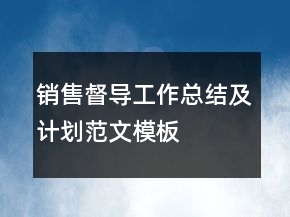 銷售督導工作總結及計劃范文模板