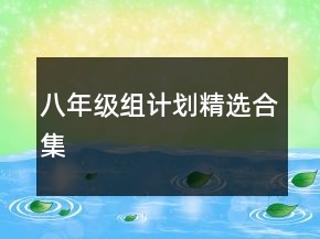 八年級(jí)組計(jì)劃精選合集