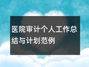 醫(yī)院審計(jì)個(gè)人工作總結(jié)與計(jì)劃范例