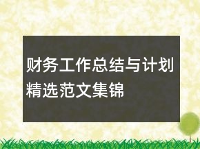 財務工作總結(jié)與計劃精選范文集錦