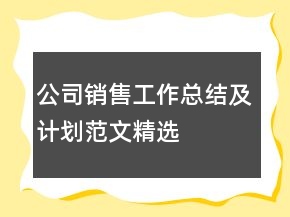 公司銷售工作總結及計劃范文精選