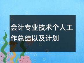 會計專業(yè)技術(shù)個人工作總結(jié)以及計劃