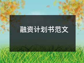融資計(jì)劃書(shū)范文