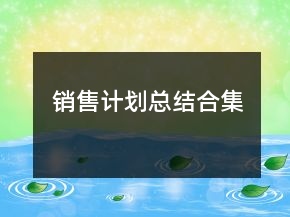 銷售計(jì)劃總結(jié)合集