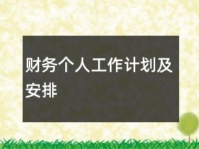 財(cái)務(wù)個人工作計(jì)劃及安排