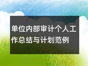 單位內(nèi)部審計個人工作總結與計劃范例