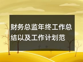 財務(wù)總監(jiān)年終工作總結(jié)以及工作計劃范文
