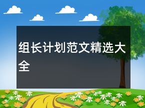 組長計劃范文精選大全
