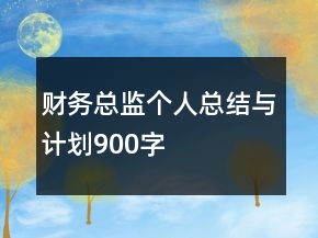 財務(wù)總監(jiān)個人總結(jié)與計劃900字
