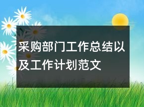 采購(gòu)部門(mén)工作總結(jié)以及工作計(jì)劃范文