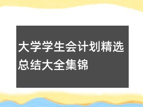 大學(xué)學(xué)生會(huì)計(jì)劃精選總結(jié)大全集錦