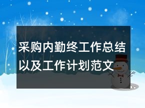 采購內(nèi)勤終工作總結(jié)以及工作計劃范文