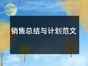 銷售總結(jié)與計劃范文