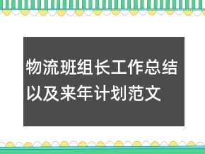 物流班組長(zhǎng)工作總結(jié)以及來(lái)年計(jì)劃范文