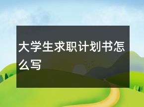 大學(xué)生求職計(jì)劃書怎么寫