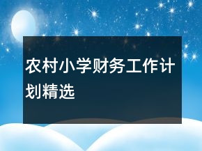 農村小學財務工作計劃精選