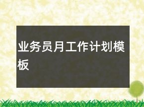 業(yè)務(wù)員月工作計(jì)劃模板