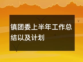 鎮(zhèn)團(tuán)委上半年工作總結(jié)以及計劃