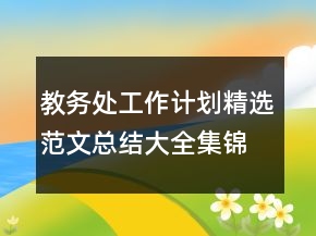 教務(wù)處工作計(jì)劃精選范文總結(jié)大全集錦