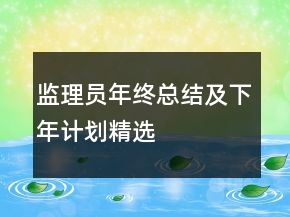 監(jiān)理員年終總結(jié)及下年計劃精選