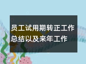 員工試用期轉(zhuǎn)正工作總結(jié)以及來(lái)年工作計(jì)劃范文