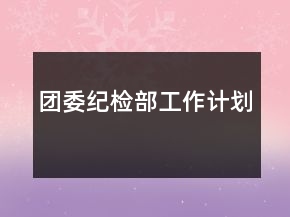 團(tuán)委紀(jì)檢部工作計劃