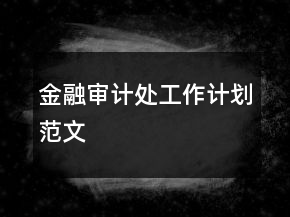 金融審計處工作計劃范文