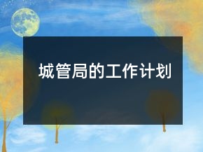 城管局的工作計(jì)劃