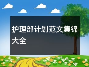 護(hù)理部計(jì)劃范文集錦大全
