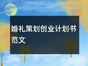 婚禮策劃創(chuàng)業(yè)計劃書范文