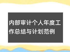 內(nèi)部審計個人年度工作總結(jié)與計劃范例