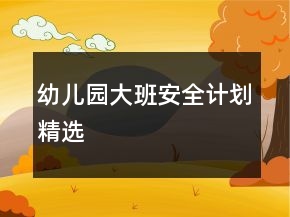幼兒園大班安全計(jì)劃精選