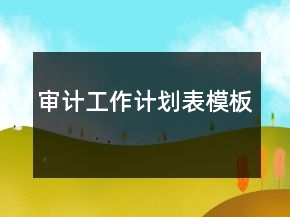 審計(jì)工作計(jì)劃表模板