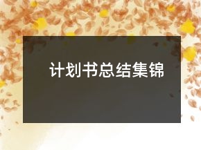 計劃書總結(jié)集錦