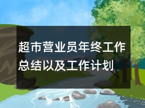 超市營(yíng)業(yè)員年終工作總結(jié)以及工作計(jì)劃范文