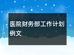 醫(yī)院財務(wù)部工作計劃例文