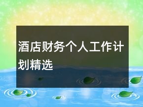 酒店財(cái)務(wù)個(gè)人工作計(jì)劃精選