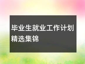畢業(yè)生就業(yè)工作計劃精選集錦