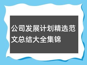 公司發(fā)展計(jì)劃精選范文總結(jié)大全集錦