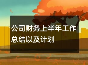 公司財(cái)務(wù)上半年工作總結(jié)以及計(jì)劃