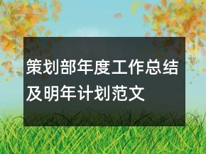 策劃部年度工作總結及明年計劃范文