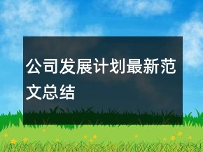 公司發(fā)展計劃最新范文總結