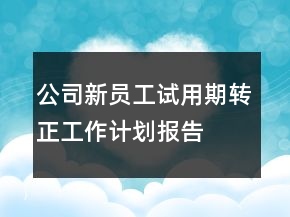 公司新員工試用期轉(zhuǎn)正工作計劃報告
