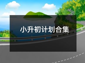 小升初計(jì)劃合集