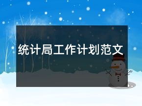 統(tǒng)計(jì)局工作計(jì)劃范文